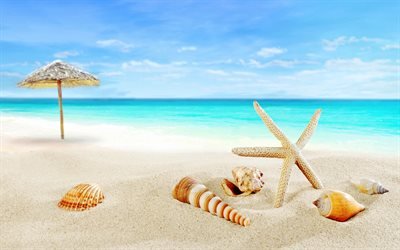 Tropical islands, beach, paradise, seashells, starfish, sea, ocean, travel concepts