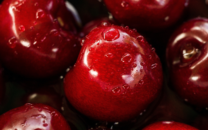 сherry, 4k, berries, fruits, close-up, dew