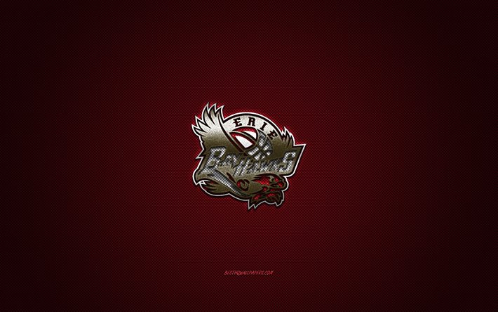 エリーベイホークス, アメリカのバスケットボールクラブ, 赤いロゴ, 赤い炭素繊維の背景, NBAGリーグ, バスケットボール, ニューオーリンズ, 米国, エリーベイホークスのロゴ