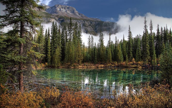 kev&#228;t, vuoret, mets&#228;, lake, kanada, taivas, banff