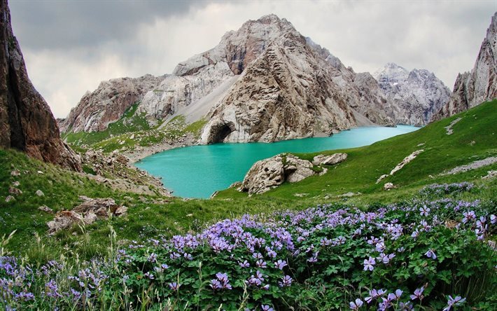 las rocas, lago de monta&#241;a, emerald lake, flores de color p&#250;rpura, monta&#241;as, szmaragdowe lago, gori