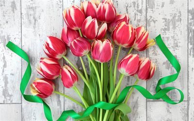 las flores de color rojo, 8 de marzo, los tulipanes, tulipanes rojos, ramo de tulipanes