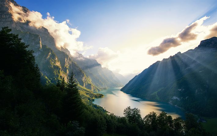monta&#241;as, el lago natural, suiza, lago, bosque, alpes