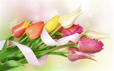 los tulipanes, un ramo de tulipanes, la primavera, las flores de la primavera