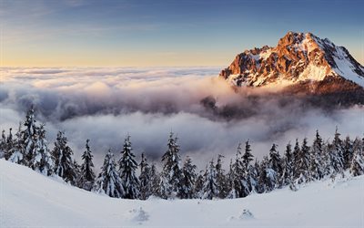 above clouds, morning, clouds, snow, slovakia, winter, mountains, panorama