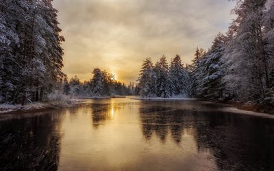 mets&#228;, talvi, lumi, aamulla, frozen river, ice, haavat