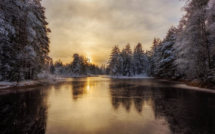 forest, winter, snow, morning, frozen river, ice, wounds