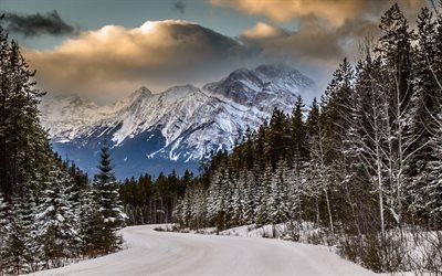 snow, winter, road, forest, mountains