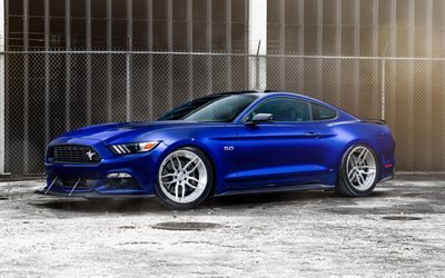tuning, ford mustang, understatement, 2016, gtcs, blue mustang