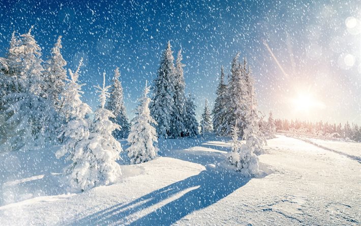 &#225;rbol, la nieve, cielo azul, invierno, monta&#241;as, las heladas