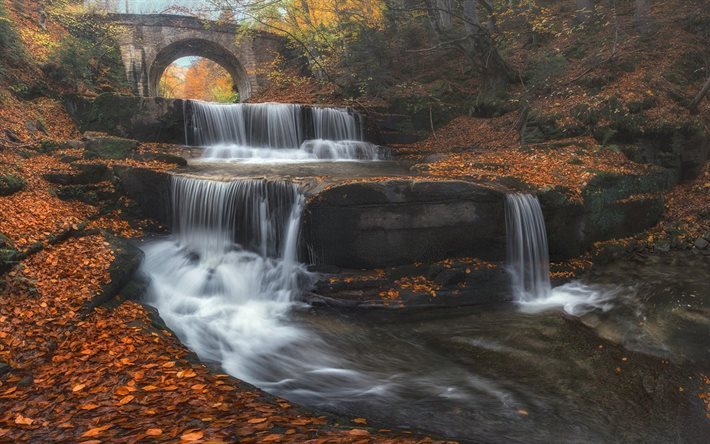滝, 秋, ブルガリア, 橋, 黄色の紅葉