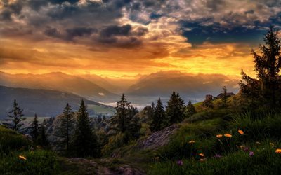 suiza, monta&#241;as, sunset, lago, la noche, alpes, bosque