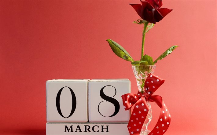 rose, vase, cadeau, 8 mars, le 8 mars, troyanda, podarunok