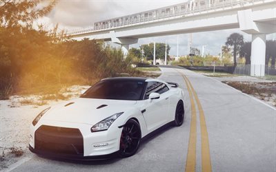 sports coupe, 2016, nissan gt-r, white, nissan gtr