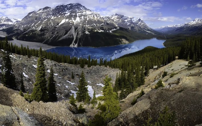 kanada, tr&#228;d, skogen, banff, mountain lake, stenar, berg, peyto lake