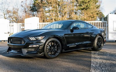 tuning, shelby, ford mustang, gt350