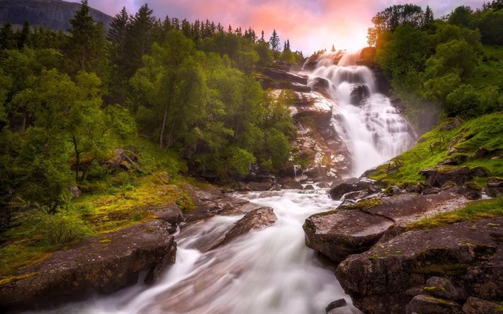 forest, stones, waterfall, stream, morning, mountain river, norway