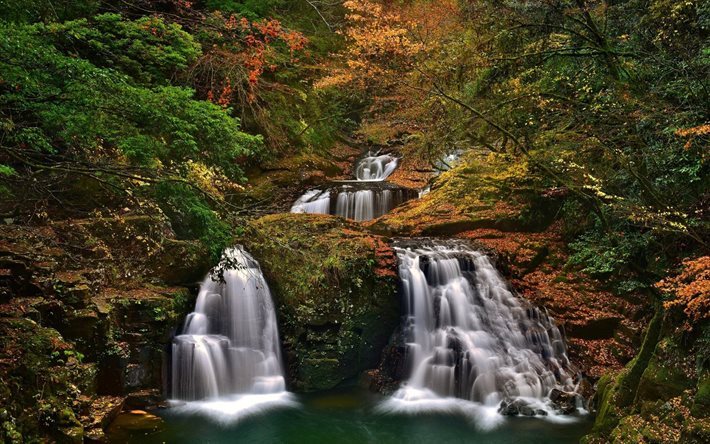 vattenfall, nabari, japan, h&#246;st, han shijuhachi-taki, mie prefektur, skogen, rock