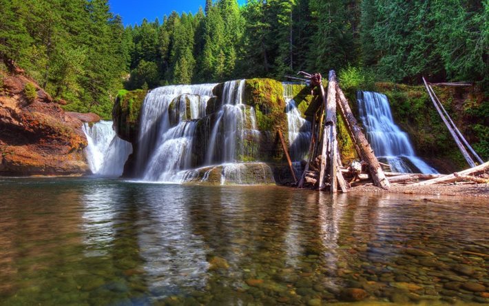 fiume, foresta, cascata, usa, washington, estate, albero, fiume lewis