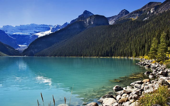 mountains, canada, blue lake, lake louise, lake, alberta