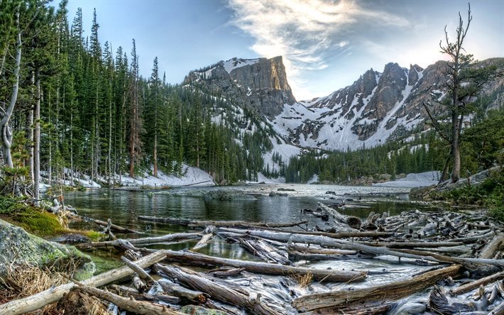 forest, mountains, spring, tree, mountain landscape