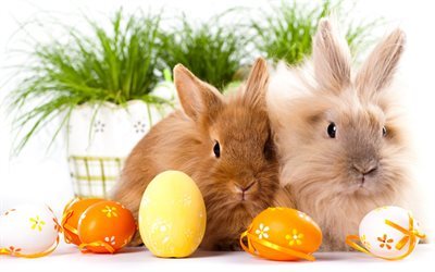 los conejos, los huevos de pascua, animales lindos, pascua, krashanki