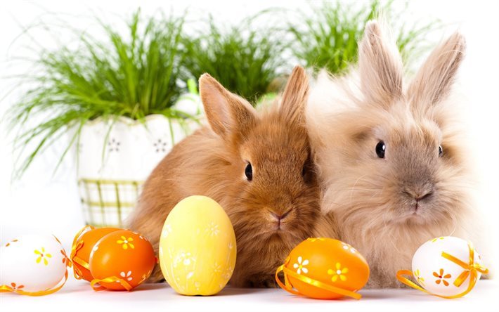 rabbits, easter eggs, cute animals, easter, krashanki