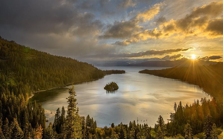 la for&#234;t, soir&#233;e, bay, arbre, le lac