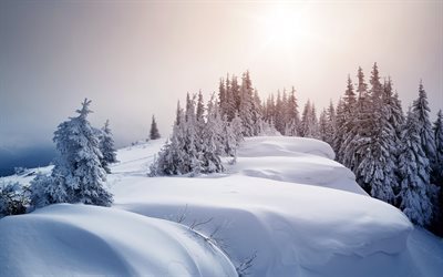 la nieve, bosque, la monta&#241;a de nieve, monta&#241;as, gori, invierno