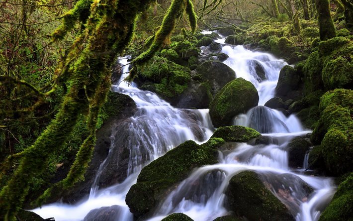 switzerland, stones, moss, grass, waterfall, forest, soubey