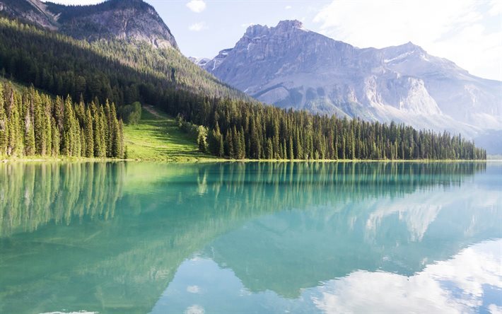 summer, mountain landscape, mountains, mountain lake, tree