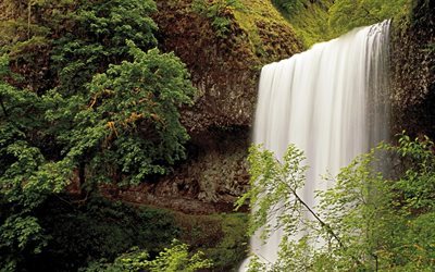 usa, forest, beautiful waterfall, waterfalls, silver falls, oregon