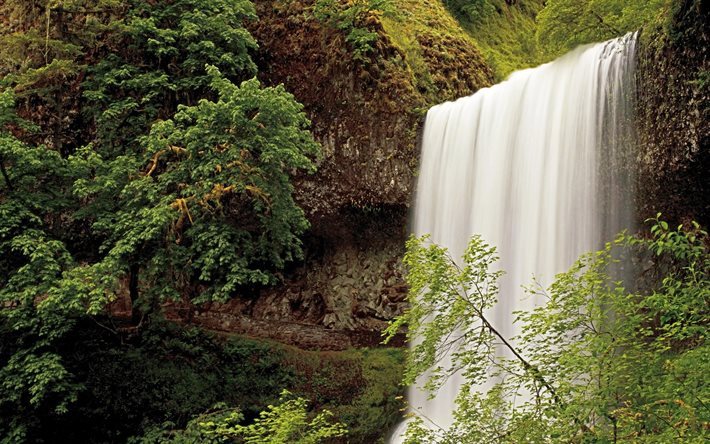 usa, skogen, vackra vattenfall, vattenfall, silver falls, oregon