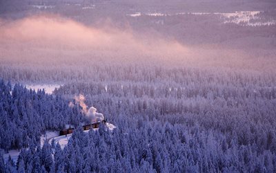 bosque, invierno, tren, saxony-anhalt, ferrocarril, alemania