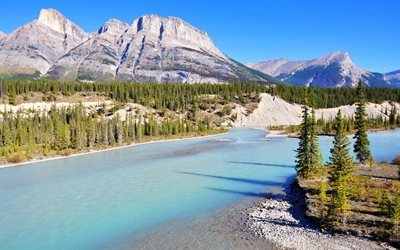 bow river, mountains, river, shore, banff, forest, canada
