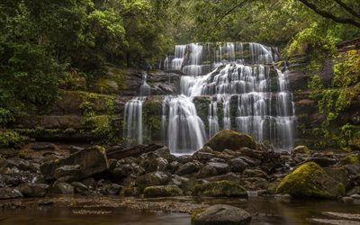 liffey falls, tasmania, lake, stream, rock, of liffey falls, australia