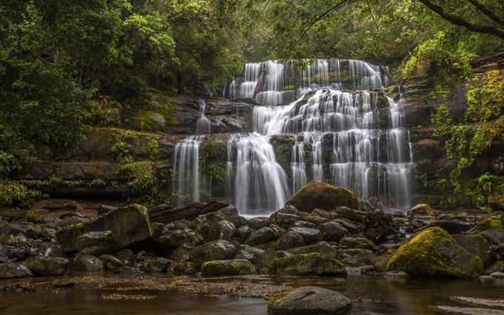 liffey faller, tasmanien, sj&#246;n, str&#246;m, rock, av liffey faller, australien