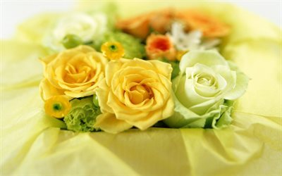 bouquet gratuito, un mazzo di rose, rose, green rose, rose gialle