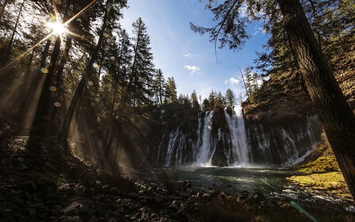 tree, alinci, wodospad, rock, waterfall, forest, spring, skelia