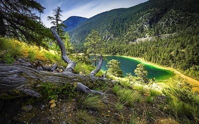 mountains, tree, beautiful lake, turquoise lake