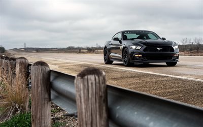 ford mustang, road, sports cars, black mustang