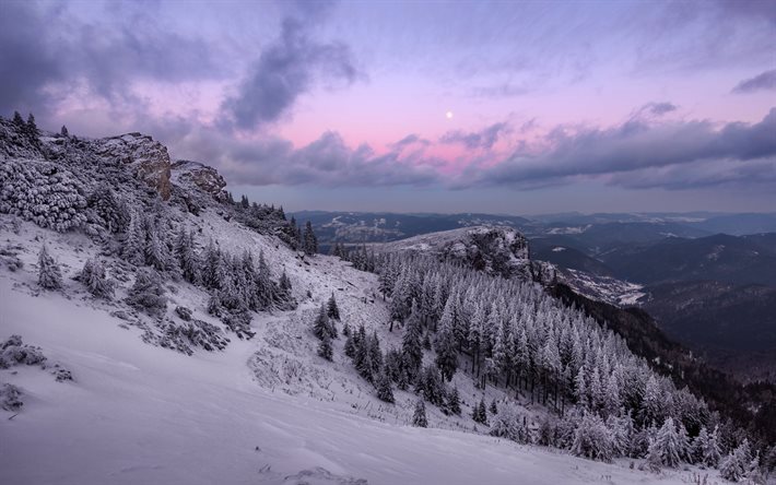 eventos, &#225;rvore, montanhas, gori, p&#244;r do sol, neve, inverno, alinci