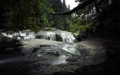 waterfall, river, forest, trees, washington, usa