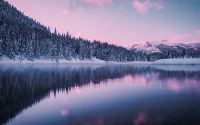 washington, lake, snow, sunset, giac, winter, evening, hyak