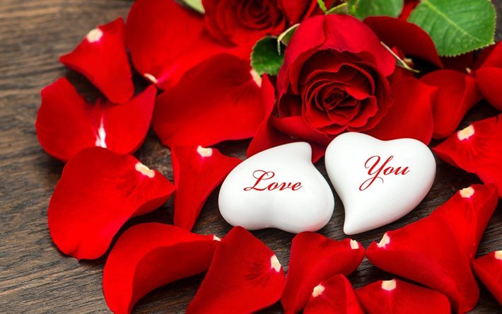 valentine&#39;s day, heart, rose petals, red petals