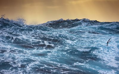 myrsky, ocean, lokkeja, aallot, valtavia aaltoja