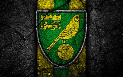 4k, Norwich City FC, logo, EFL Championship, black stone, football club, England, Norwich City, soccer, emblem, asphalt texture, FC Norwich City