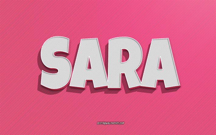 Sara, fond d’&#233;cran de lignes roses, fonds d’&#233;cran avec des noms, nom sara, noms f&#233;minins, carte de vœux Sara, dessin au trait, image avec le nom Sara