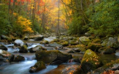 outono, floresta, paisagem de outono, rio, cachoeira