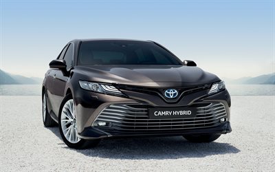 Toyota Camry Hybrid, 2019, front view, exterior, new brown Camry, Japanese cars, Toyota